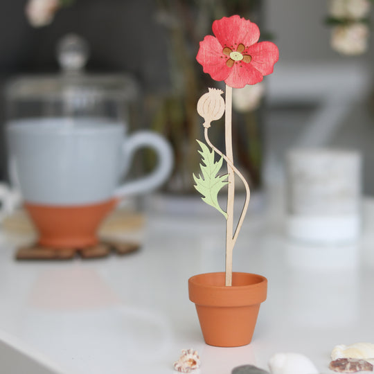 Poppy Single wooden Flower Stem in a Terracotta Pot