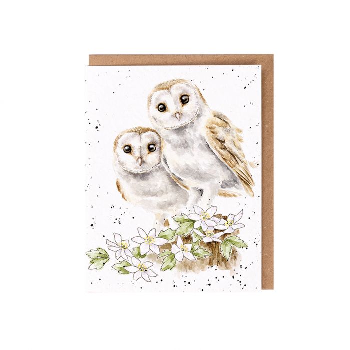 Seed Card - Hooting for You (Owl)
